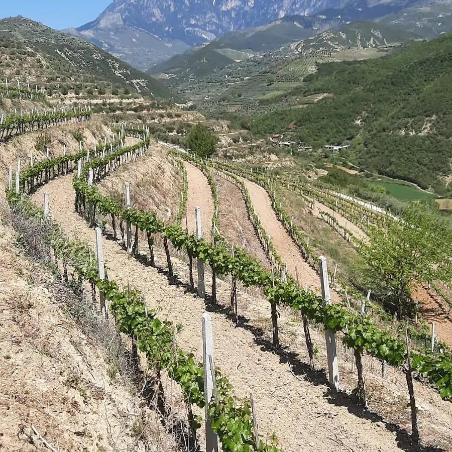 בראט Pupa Winery Serene Stay 0*,  אלבניה